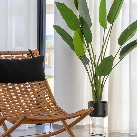 Miguel Luxury Front פאנאי