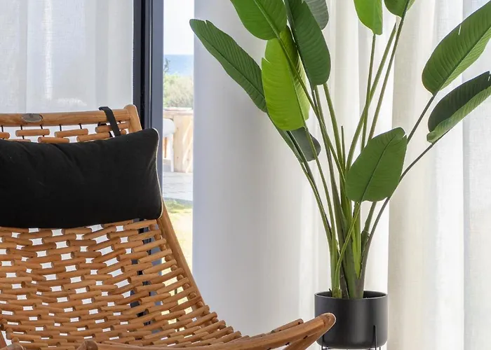 Miguel Luxury Front פאנאי